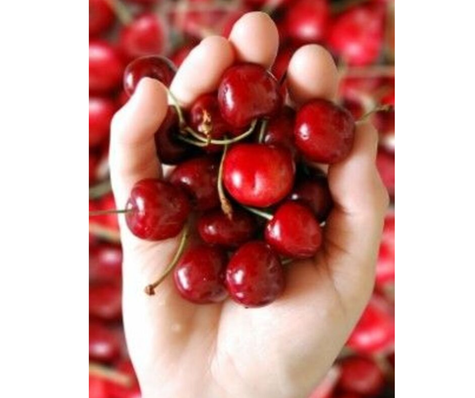 DIY EASY FACE MASK WITH CHERRIES FOR ANTI-AGING